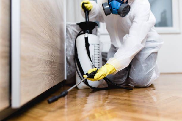 Best Cockroach Control Services  in Bevil Oaks, TX