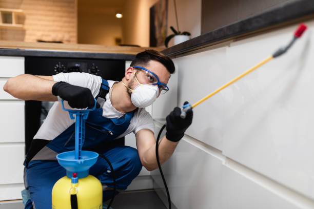 Trusted Bevil Oaks, TX Pest Control Experts