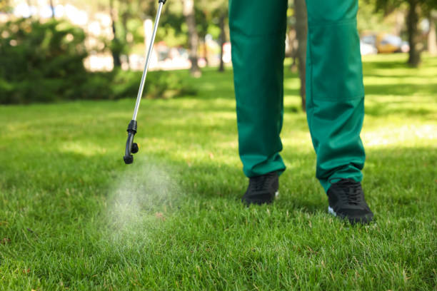 Best Pest Inspection Near Me  in Bevil Oaks, TX