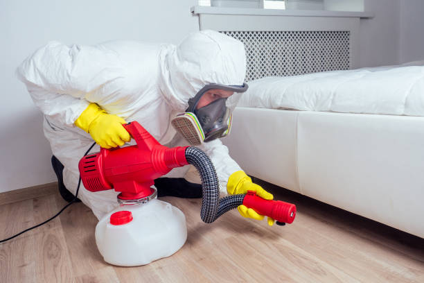 Best Mosquito Control Services  in Bevil Oaks, TX