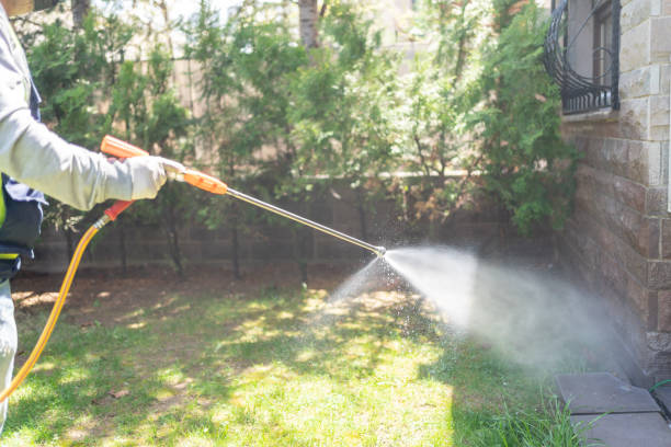 Best Ant Control Services  in Bevil Oaks, TX